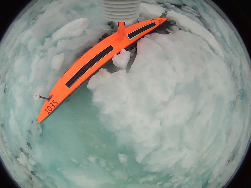 A “saildrone selfie” of SD 1035 surrounded by Arctic ice.